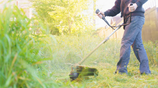 istock man mows grass with trimmer, focus on foreground blurred background 1349031774