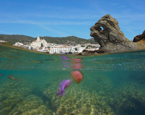 Spain Cadaques village and jellyfish underwater stock photo