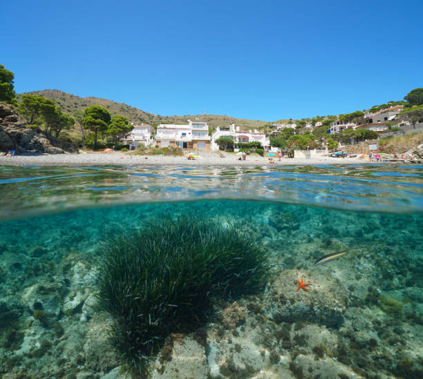istock Spain Mediterranean sea coastline over under water 1349035085