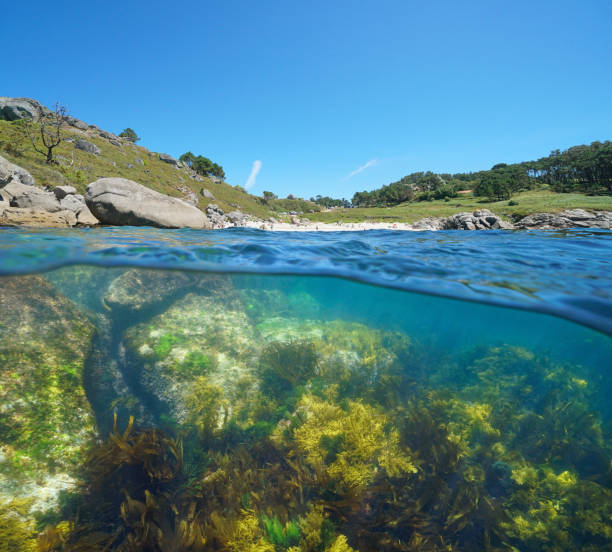 istock Spain Galicia coast over under water Pontevedra 1349035137