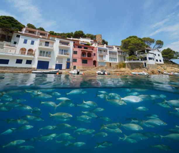 istock Spain waterfront houses and fish underwater sea 1349035183