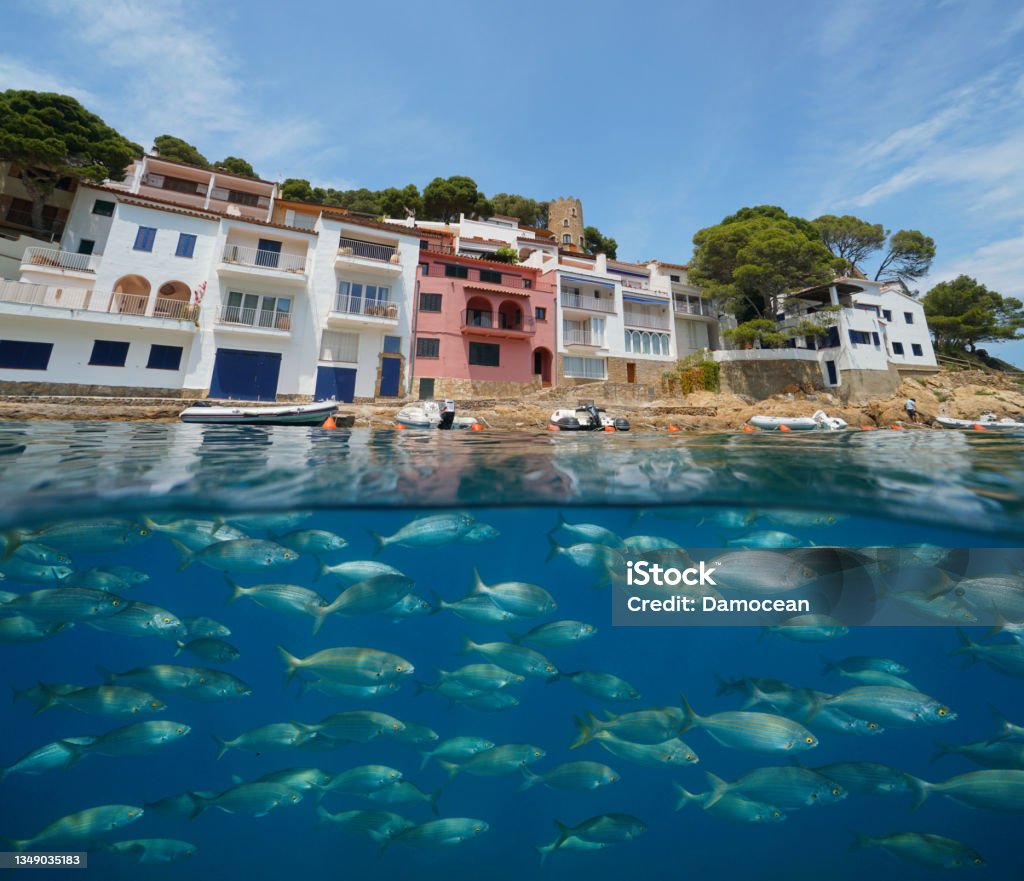 Spain waterfront houses and fish underwater sea Spain waterfront houses of Mediterranean village Sa Tuna and a school of fish underwater sea, Costa Brava, Begur, Catalonia, split view over and under water surface Gerona Province Stock Photo