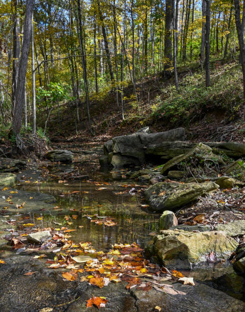 istock Early autumn in the  park at St Louis, MO 1349035406
