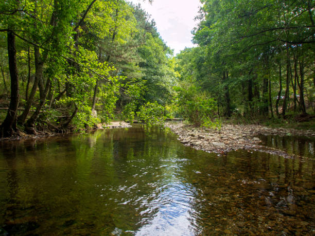 istock Stream in Ida Mountain, Beautiful nature. Turkey. 1349037107
