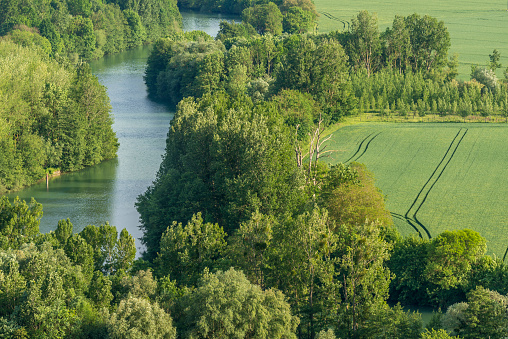 Top view of green algae on river in spring, Poland
