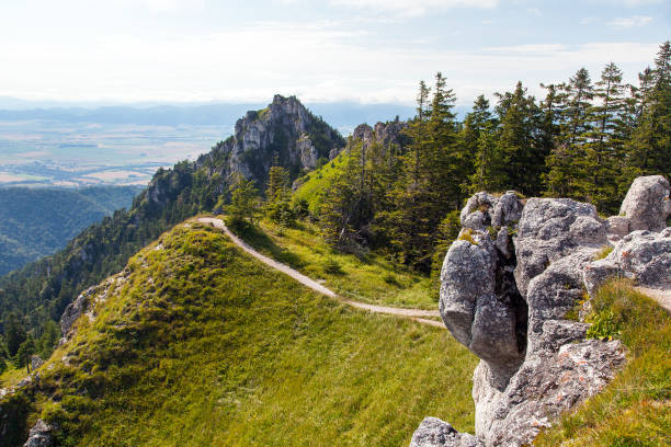 Velka fatra mountains panoramic view, Velka Fatra national park, Slovakia, Carpathian mountains, mount Ostra