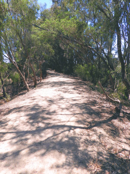 istock Kerang, Victoria, Australia 1349046717