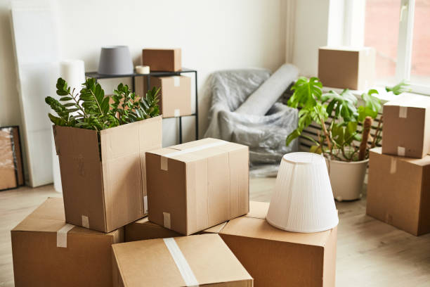 istock Stacks of Cardboard Boxes in New Home 1349049451