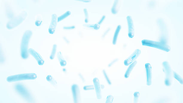 probiotics - 細菌 個照片及圖片檔
