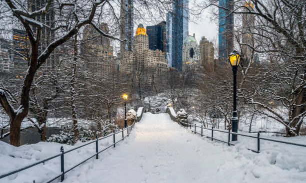 istock Gapstow Bridge in Central Park after snow storm 1349057515
