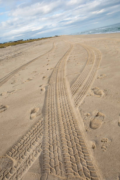 istock Foot prints and tire tracks in the sand 1349058508