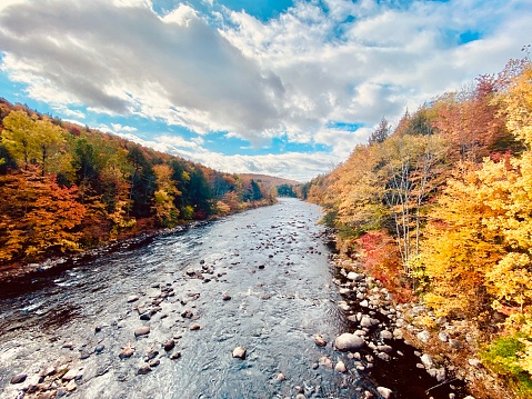 A view of a stream or River during the autumn when the trees have changed color.