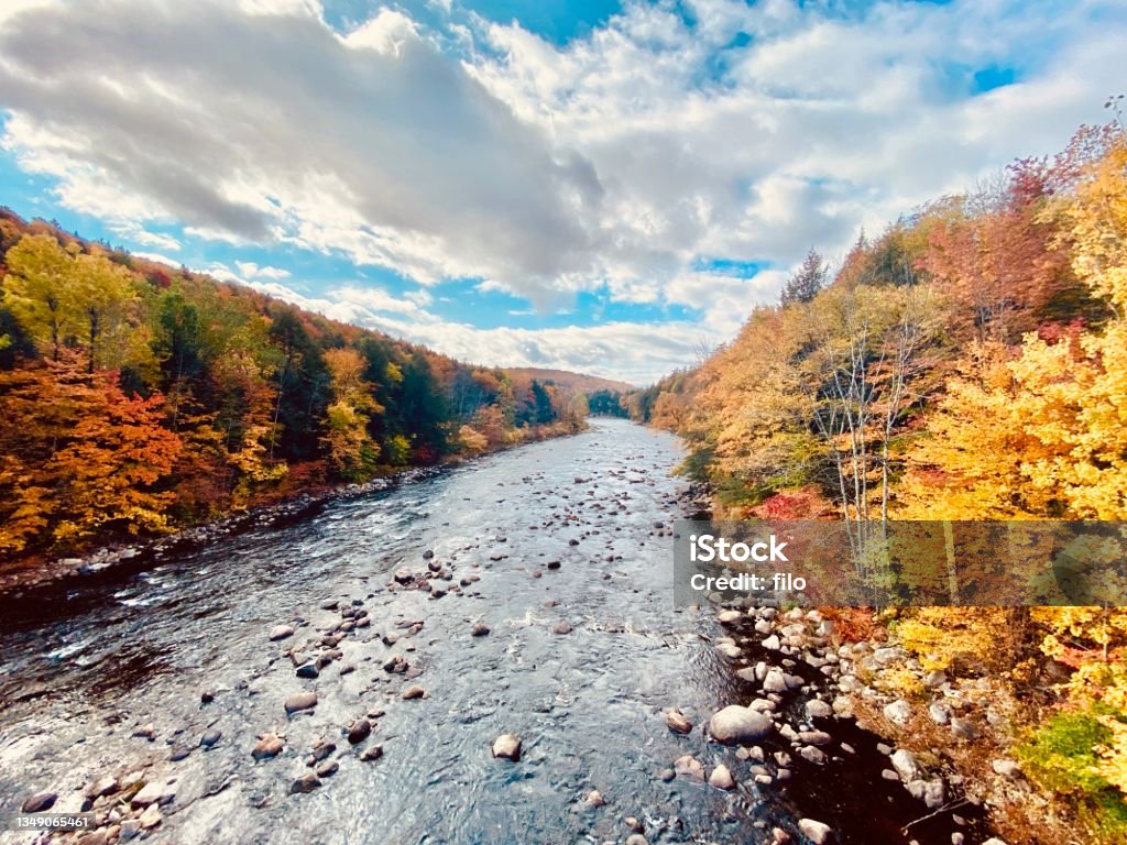 Autumn River Trees A view of a stream or River during the autumn when the trees have changed color. New York State Stock Photo
