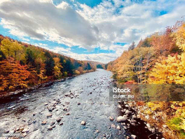 Autumn River Trees Stock Photo - Download Image Now - New York State, Nature, Valley