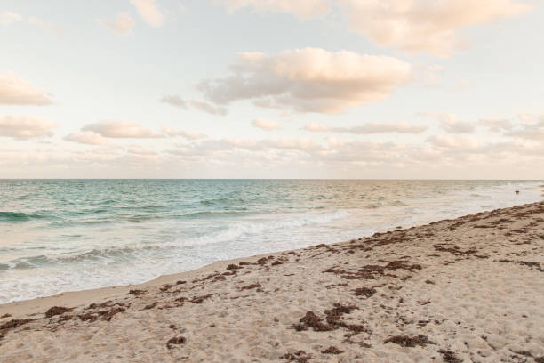 istock Golden Sunset Sky on Palm Beach, Florida 1349073106