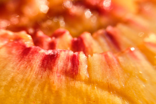 fresh slice of peach