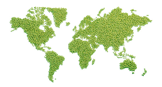 World map made of green peas isolated on white with clipping path