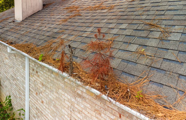 istock Gutter on home full of leaves and pine straw 1349092428