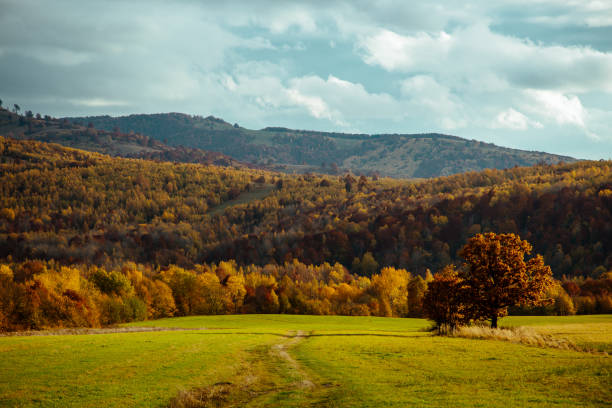 istock Beautiful landscape with autumn season. 1349098722