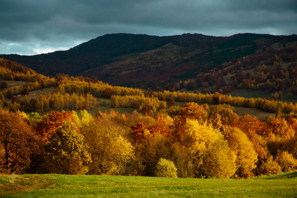 istock Mountain autumn landscape with colorful forest 1349098732