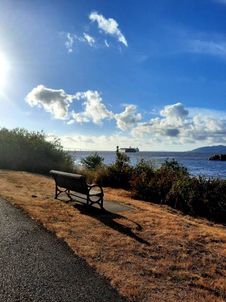 istock Astoria Columbia River Walk bench series 27 1349108361