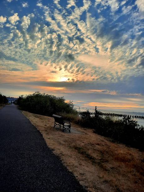 istock Astoria Columbia River Walk bench series 28 1349108363