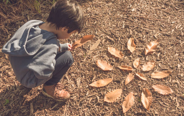 creatività nei bambini nella natura. - circle child preschool preschooler foto e immagini stock