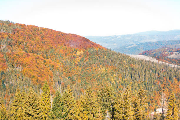 landscape view of autumn carpathian mountains ukraine