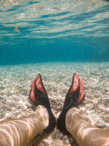 istock man legs in flippers underwater 1349113778