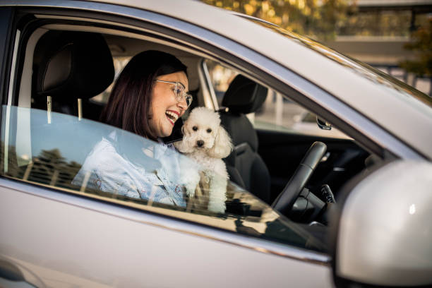 istock businesswoman using mobile phone and laptop in car 1349117699