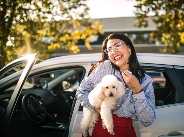 istock businesswoman using mobile phone and laptop in car 1349117776