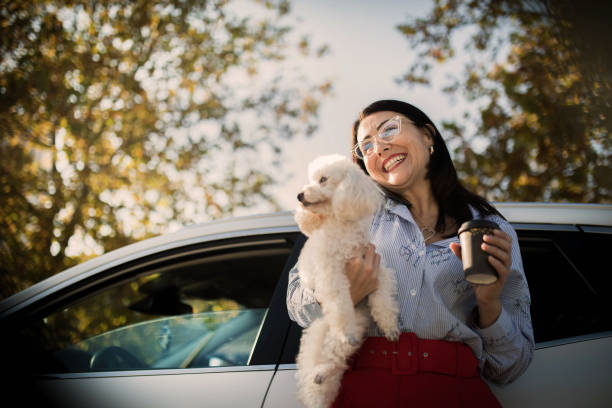 istock businesswoman using mobile phone and laptop in car 1349117796