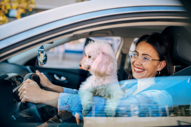 istock businesswoman using mobile phone and laptop in car 1349117821