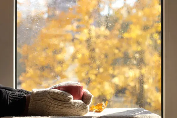 red cup in the hands of dressed in knitted mittens on the table against the background of an autumn window