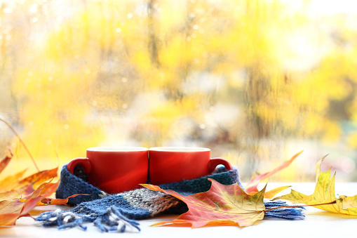 maple leaves and two red circles wrapped in a blue scarf on a table against the background of a window