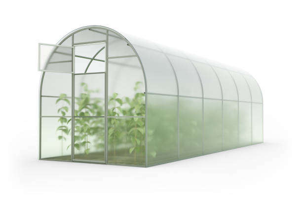 a farm greenhouse for growing plants, flowers - construction frame plastic agriculture greenhouse imagens e fotografias de stock