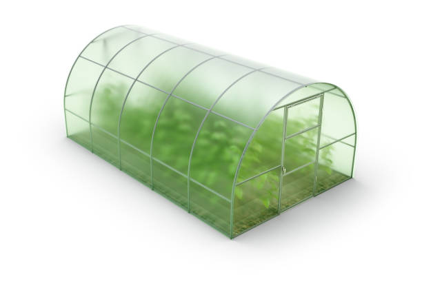 farm greenhouse for growing plants, fruits, berries, vegetables, flowers - construction frame plastic agriculture greenhouse imagens e fotografias de stock