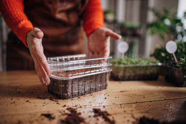 Woman planting new seed