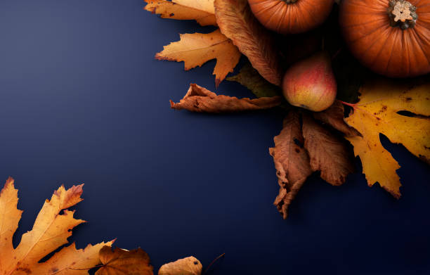 un fondo de cosecha de otoño de acción de gracias de calabazas, peras, hojas en una mesa azul con espacio de copia. - squash pumpkin orange japanese fall foliage fotografías e imágenes de stock