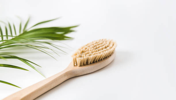 brosse en bois pour massage sec anti cellulite corps sur fond blanc - dry brush photos et images de collection