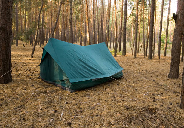 istock mormorning in a hikening in a hike 1349134918