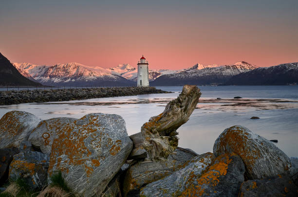 il vecchio tronco e il faro, godøy, norvegia - fishing village nordic countries fjord foto e immagini stock