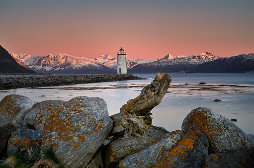 Wide angle view of the old log in front of the lighthouse, with a nice pastel background.