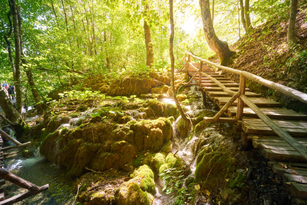 istock Plitvice Lakes National Park 1349140881