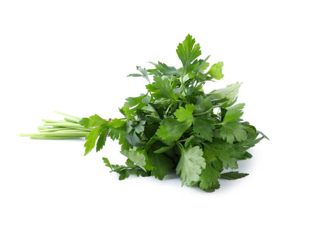 istock Bunch of fresh green parsley isolated on white 1349143806