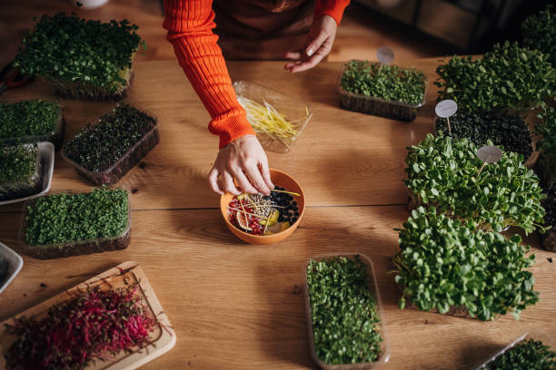 istock Woman making healthy meal 1349146817