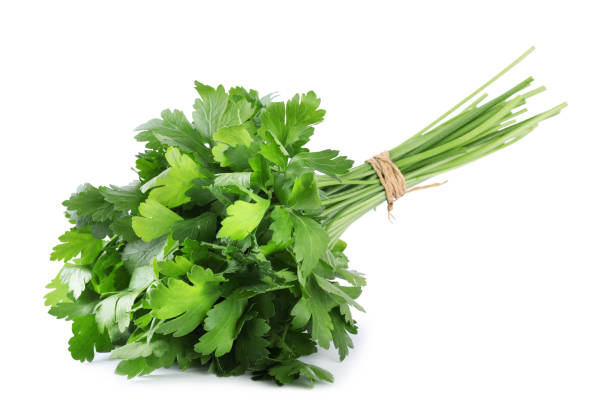 istock Bunch of fresh green parsley isolated on white 1349149723
