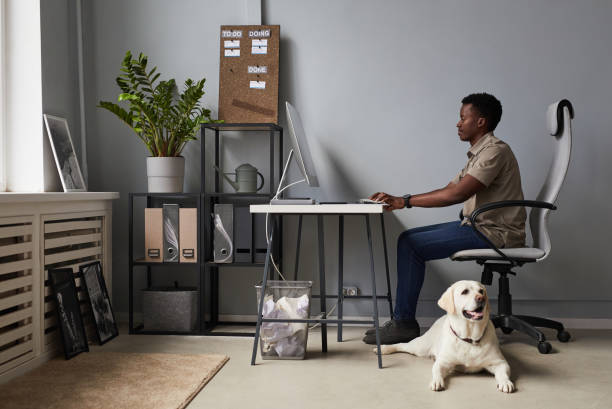 giovane uomo con cane in ufficio - lavorare da casa foto e immagini stock