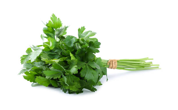 istock Bunch of fresh green parsley isolated on white 1349150751