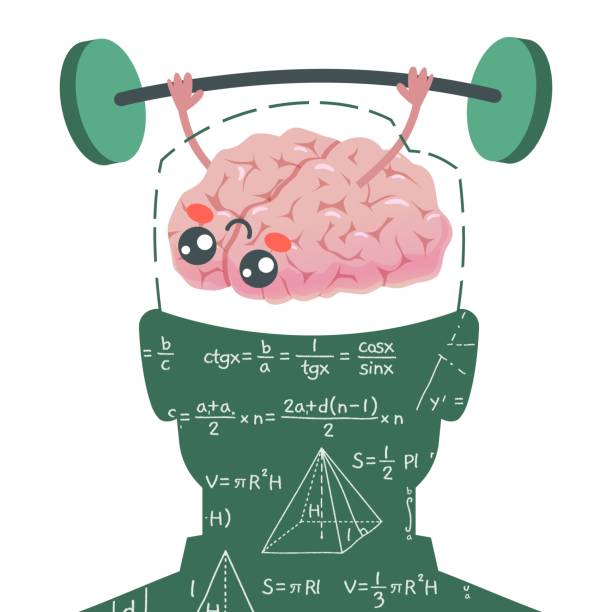 ilustraciones, imágenes clip art, dibujos animados e iconos de stock de bombeo cerebral. mascota del órgano mental levantando mancuerna. silueta de cabeza humana y pizarra con fórmulas matemáticas. estudiar matemáticas y geometría desarrolla habilidades mentales. concepto vectorial - kidney stone